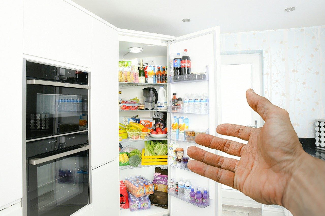 Fridge vs. Freezer: Maximizing Food Preservation